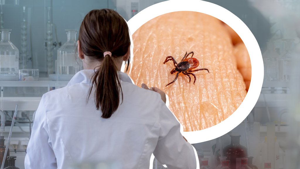 Deset pravila za zaštitu od krpelja tokom letnjih boravaka u prirodi