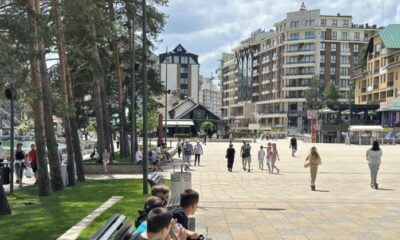 Neobična scena na Zlatiboru: koza legla nasred puta i zaustavila saobraćaj