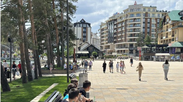 Neobična scena na Zlatiboru: koza legla nasred puta i zaustavila saobraćaj