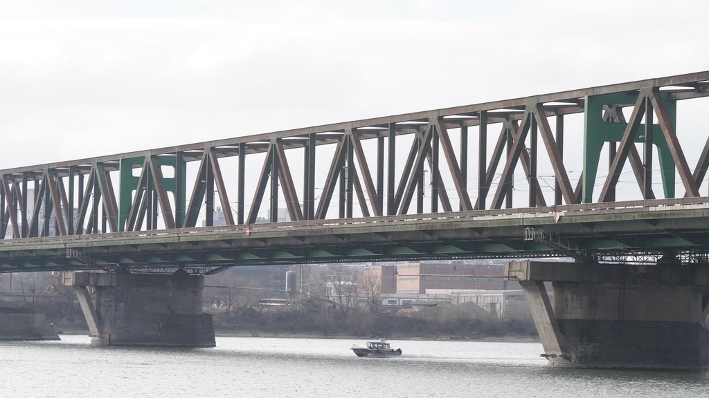 Radovi na Pančevačkom mostu ograničavaju saobraćaj na jednu traku do 24. jula