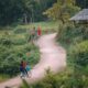 forest, path, town, nature, bicycle, nature, nature, nature, nature, nature