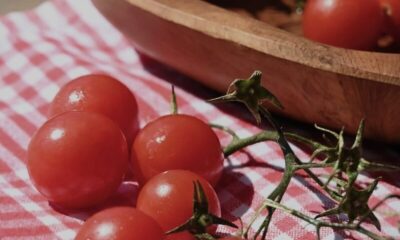 cherry tomatoes, tomatoes, fresh vegetables, organic tomatoes, red tomatoes, ripe tomatoes, tomato harvest, healthy food, summer vegetables, farm fresh, vine tomatoes, tomato bunch, rustic kitchen, garden tomatoes, seasonal produce, natural food, vegetable closeup, fresh produce, salad ingredients, kitchen decor, juicy tomatoes, ripe cherry tomatoes, healthy eating, cooking ingredients, homegrown tomatoes