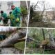 Meteocunami pogodio Mali Lošinj, nivo mora porastao za 30 centimetara – meteocunami u Malom Lošinju