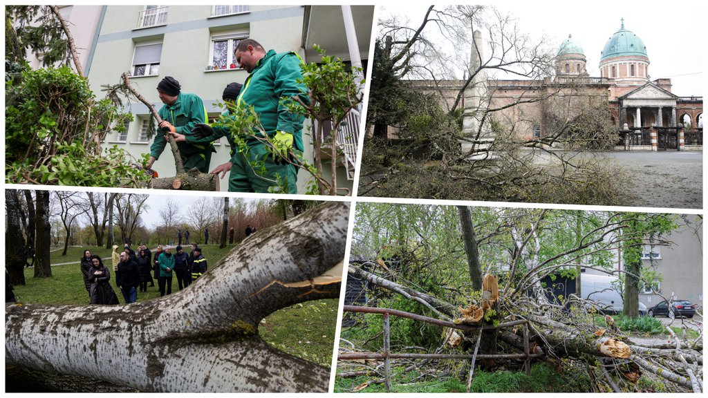 Meteocunami pogodio Mali Lošinj, nivo mora porastao za 30 centimetara – meteocunami u Malom Lošinju