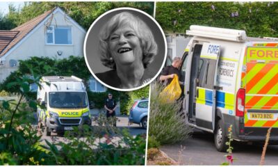 Ubistvo bivše britanske poslanice u Devonu, optuženi udario čekićem – napad u Devonu