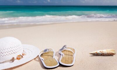 beach, nature, sand, sea, sandy beach, vacations, caribbean, coast, summer, coneflower, flip-flop, shell