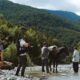 Film „Nino u raju“ osvojio nagradu Zlatni toranj na Paliću – film Nino u raju