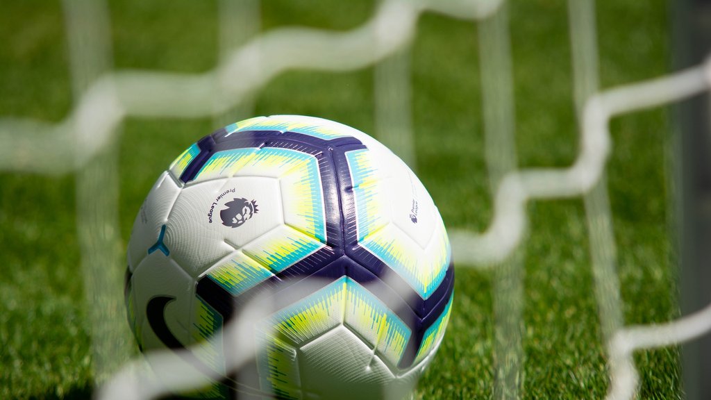 Radnički i Železničar odlažu meč Superlige Srbije zbog evropskih obaveza Pančevaca – Superliga Srbije