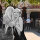 Nevena Hot sahranila ćerku Anastasiju, Partizanov grb i belo cveće na kovčegu – sahrana Anastasije T.