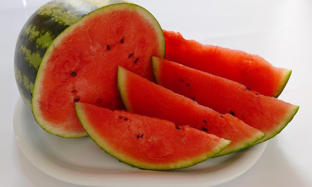 Semenke lubenice kao izvor proteina u svakodnevnoj ishrani