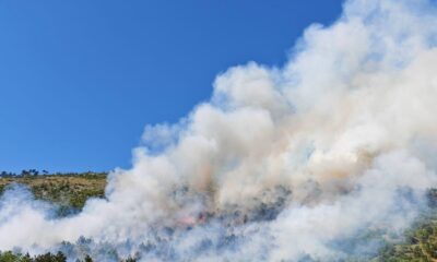 Požar kod Trebinja zahvatio selo Hum, vatrogasci brane kuće od vatre