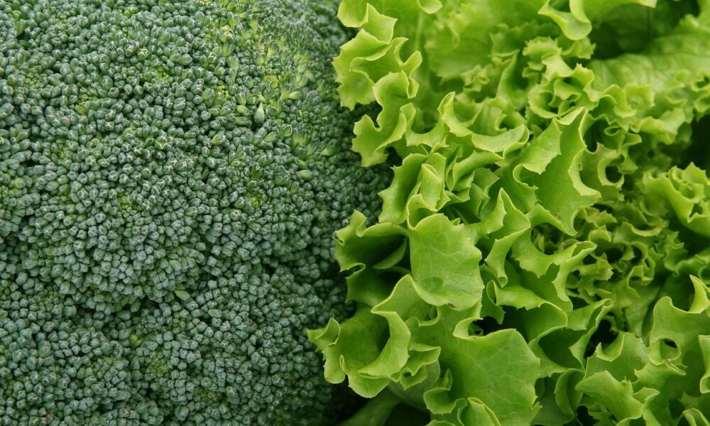 Vitamin K kao saveznik ženskog zdravlja u svim životnim dobima
