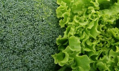 Vitamin K kao saveznik ženskog zdravlja u svim životnim dobima