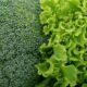 Vitamin K kao saveznik ženskog zdravlja u svim životnim dobima
