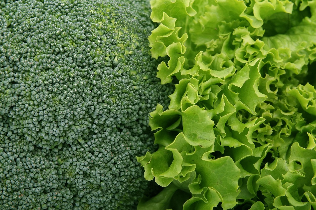 Vitamin K kao saveznik ženskog zdravlja u svim životnim dobima