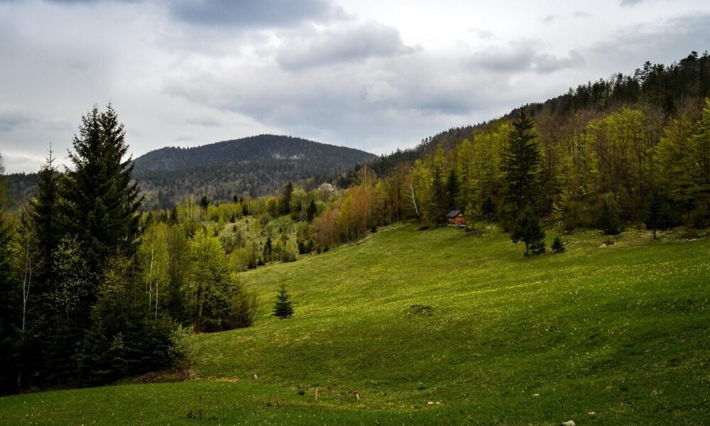 serbia, tara, mountain, landscape, nature, cloud, before storm, serbia, serbia, serbia, serbia, serbia, tara, tara