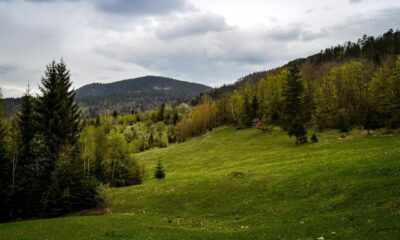 serbia, tara, mountain, landscape, nature, cloud, before storm, serbia, serbia, serbia, serbia, serbia, tara, tara