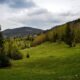 serbia, tara, mountain, landscape, nature, cloud, before storm, serbia, serbia, serbia, serbia, serbia, tara, tara