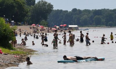 Nutrija iznenadila kupače na Adi Ciganliji tokom letnjeg dana – nutrija na Adi Ciganliji