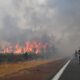 Požari u Francuskoj proširuju se u Žirond regiji, evakuisano 220.000 ljudi