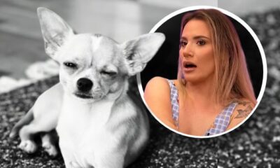 Kristina Spalević u centru afere: Glasovna poruka otkrila detalje o smrti psa – saučesništvo Kristine Spalević u zločinu nad malim psom