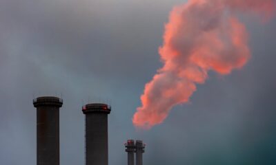Poslodavci u Srbiji u junu tražili 15.929 radnika, najviše za elektroenergetske operatere – elektroenergetski operateri
