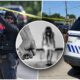 Ubistvo državljanke Srbije u Dalasu: policija otkrila nove detalje i apeluje na građane