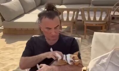 Željko Mitrović reagovao na nasilje nad psima u Red televiziji