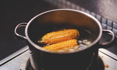 cooking, nature, boiling, corn, food, water, gray food, gray cooking