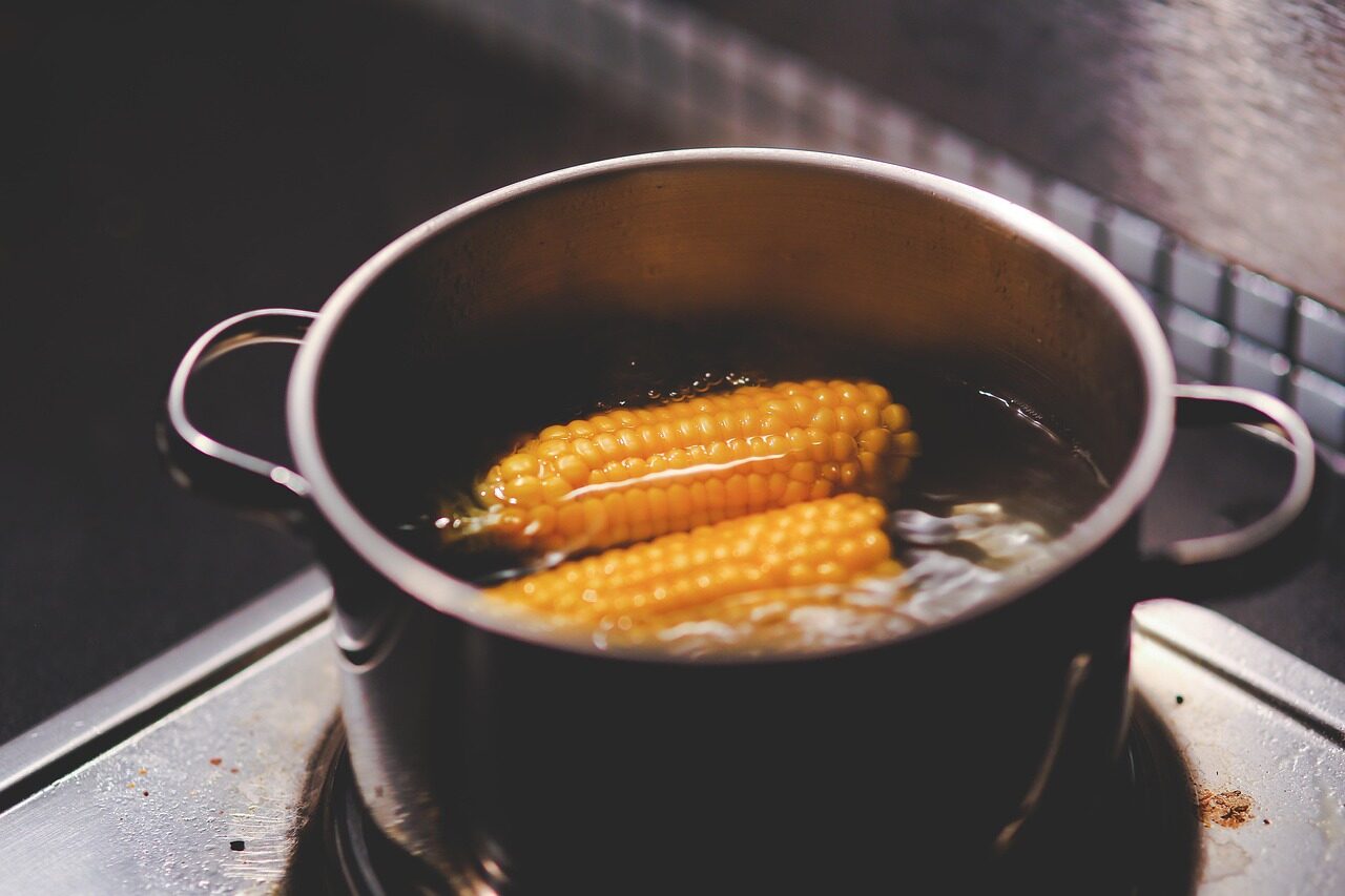 cooking, nature, boiling, corn, food, water, gray food, gray cooking