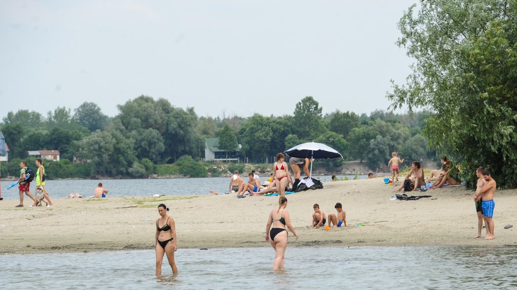 Kvalitet vode na Dunavu kod Štranda pogoršan, građanima savetovano tuširanje posle kupanja