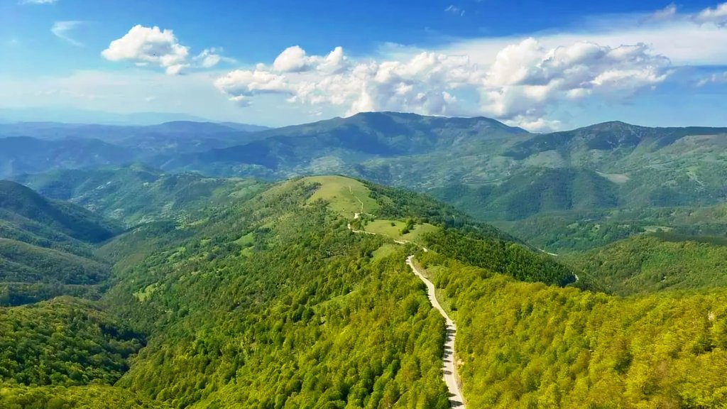 Letovanje na Staroj planini donelo nezaboravna iskustva umesto boravka u Grčkoj