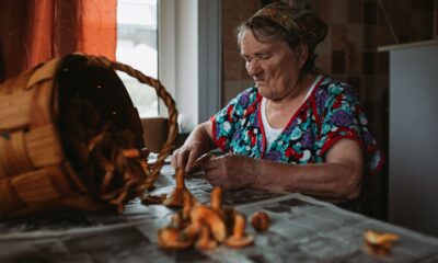 Maitake pečurke povezane sa boljim pamćenjem kod žena posle 60. godine – maitake pečurke pamćenje