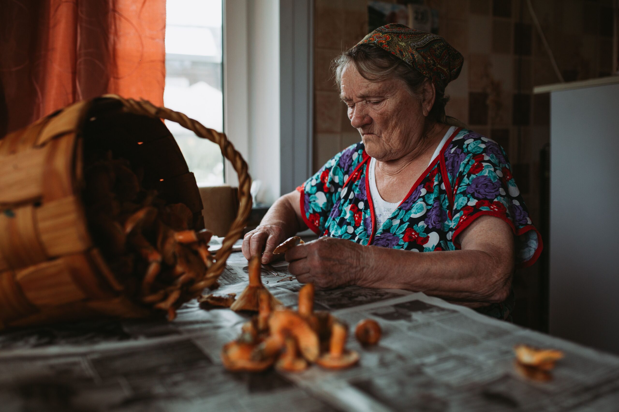 Maitake pečurke povezane sa boljim pamćenjem kod žena posle 60. godine – maitake pečurke pamćenje