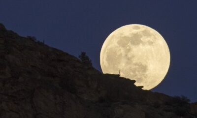 Pun Mesec u Vodoliji menja sudbinu: horoskop za sutra