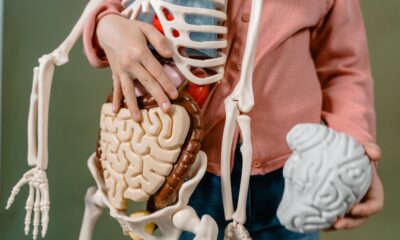 Veza između zdravlja creva i Parkinsonove bolesti: Nove studije otkrivaju – crevno zdravlje Parkinsonova