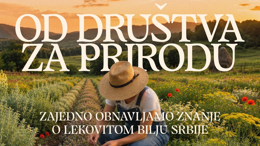 Gorki List pokrenuo program za očuvanje znanja o lekovitom bilju u Srbiji