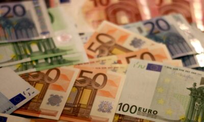 Kazne za ubijanje zaštićenih životinja u Srbiji dostižu milion dinara