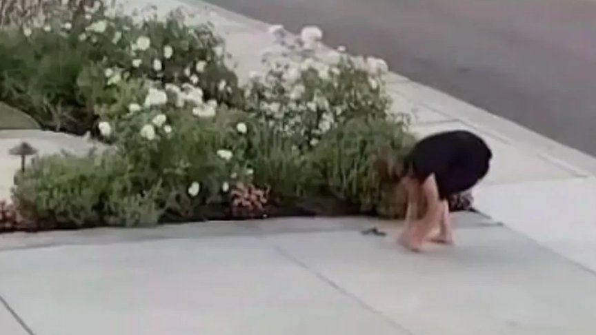 Žena u Kaliforniji preživela napad zvečarke dok je orezivala ruže u dvorištu – napad zvečarke u Kaliforniji