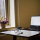 study, school, college, nature, nyc, apartment, glasses, plants, laptop
