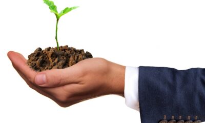 Direct Media svrstana među 35% globalno najodrživijih kompanija prema EcoVadis oceni – EcoVadis ocena održivosti