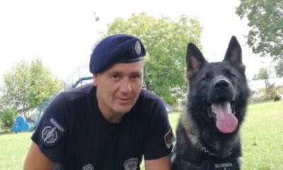 Osumnjičeni za teško ubistvo uhapšen na aerodromu u Beogradu, telo pronađeno – napad u Beogradu