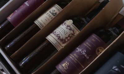 Požari kod Bordoa ugrožavaju francusku vinsku industriju – požari Bordoa vinogradi