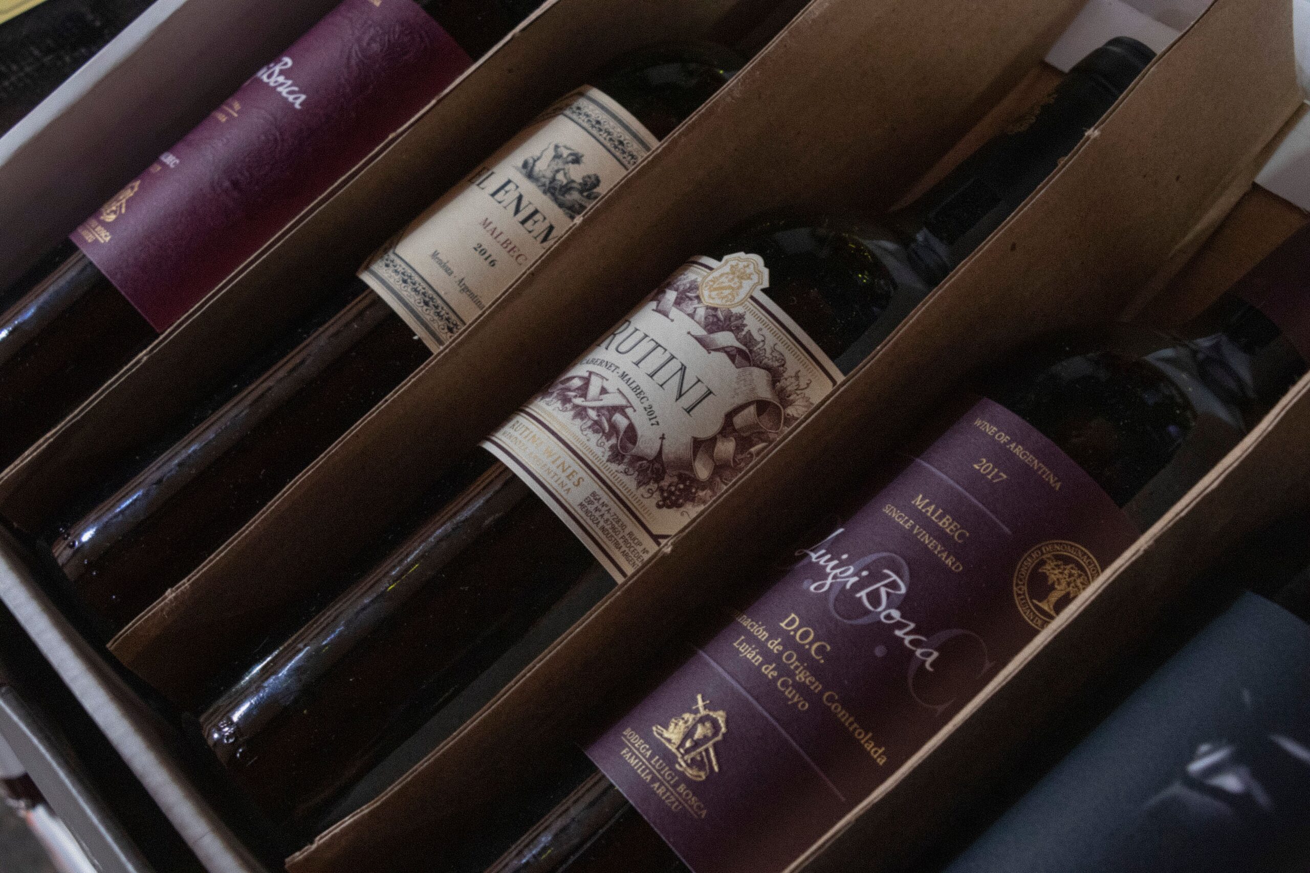 Požari kod Bordoa ugrožavaju francusku vinsku industriju – požari Bordoa vinogradi