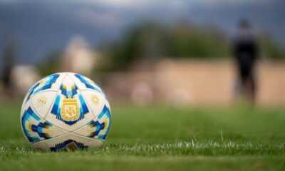 A detailed photo of a soccer ball on a lush grass field with blurred background.