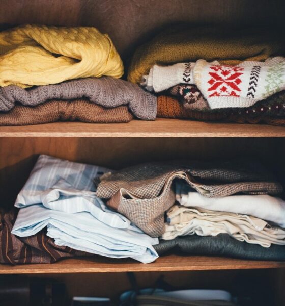 cabinet, clothes, garments, wardrobe, clothing, shelves, fashion, clothes, clothes, clothes, clothes, clothes, wardrobe, wardrobe, clothing