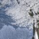 Antarktički polarni talas zahvatio Novi Zeland, sneg prekrio plaže i gradove – antarktički polarni talas na Novom Zelandu