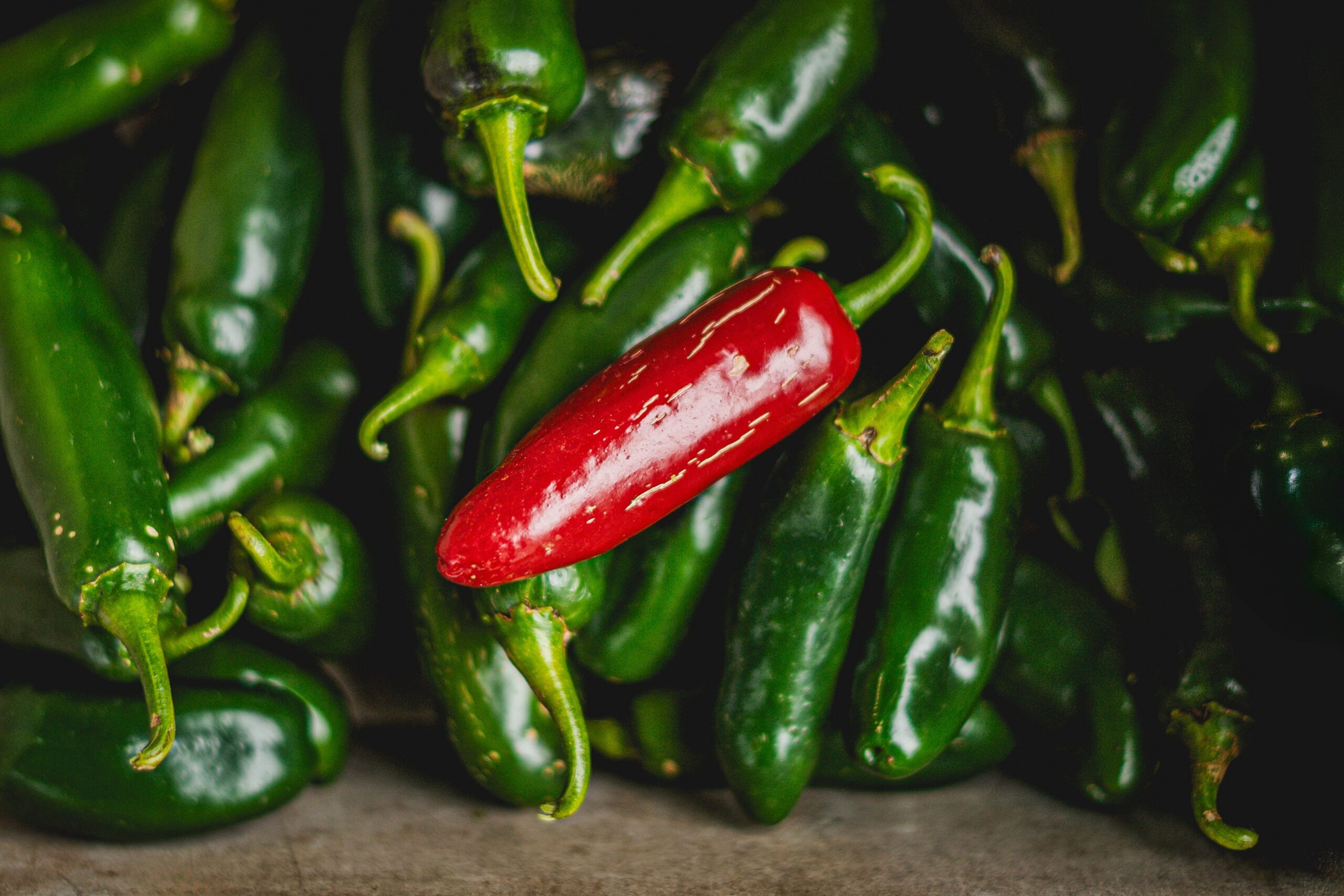 Chipotle povukao jalapenos papričice u Minnesoti zbog epidemije salmoneloze – salmonela u Chipotle