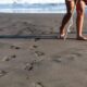 sandy, sand, footprints, nature, beach, sea, natural, coast, summer, water, people, leg, on foot, women, wave, girls