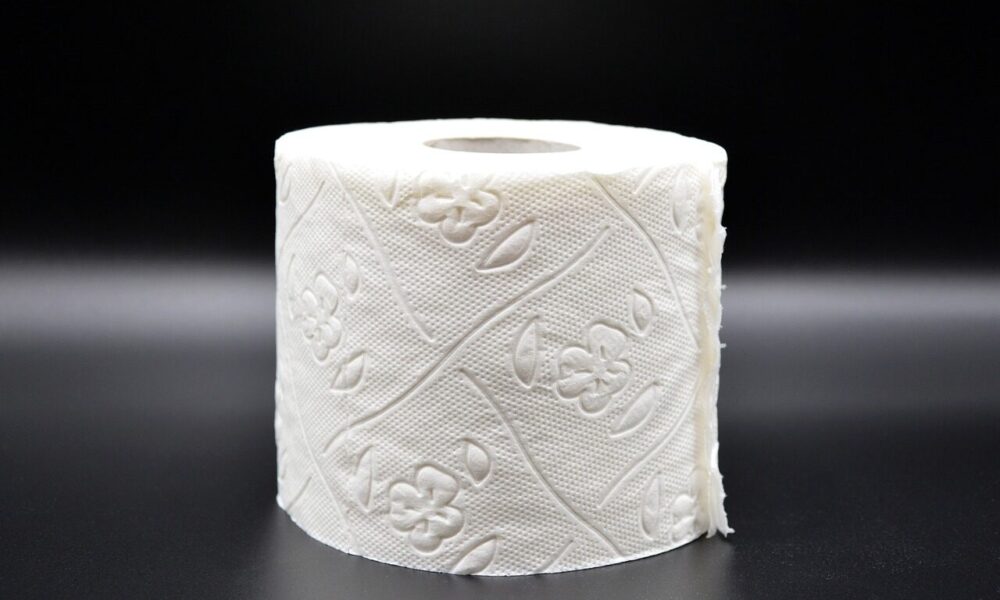 toilet paper, hygiene, loo, role, wc, toilet, paper, corona, virus, sanitary, lockdown, toilet paper, toilet paper, toilet paper, toilet paper, toilet paper